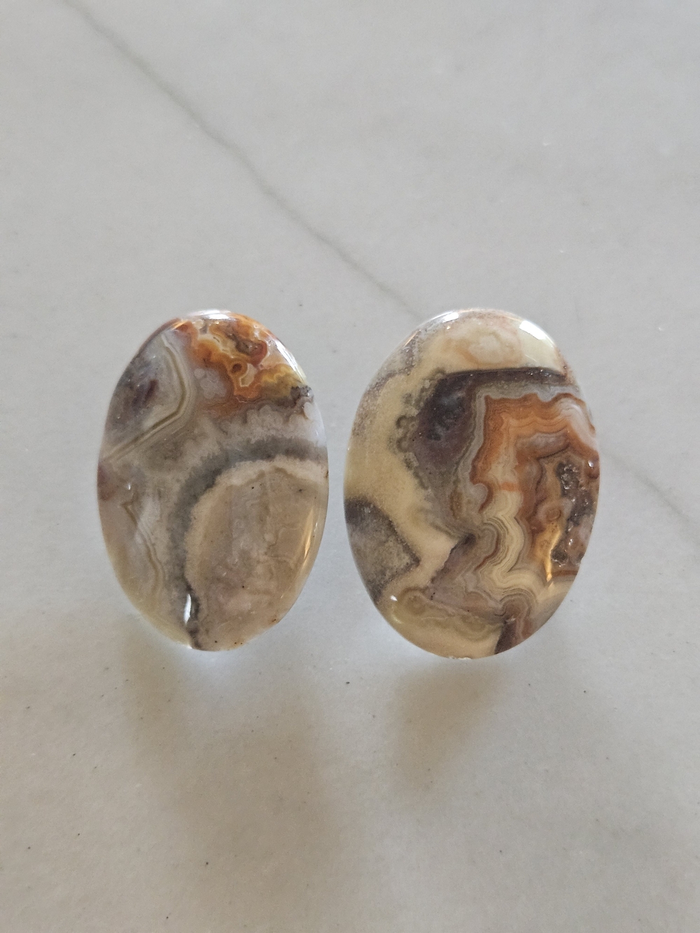 Natural Crazy Lace Agate Cabochon Post Earrings • Sterling Silver Statement Stud